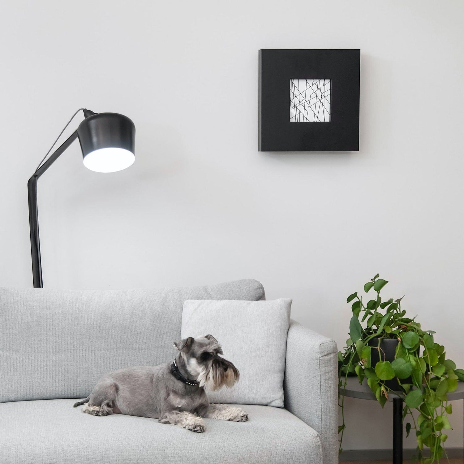 Pasila lattiavalaisin Musta Lattiavalaisin Innolux